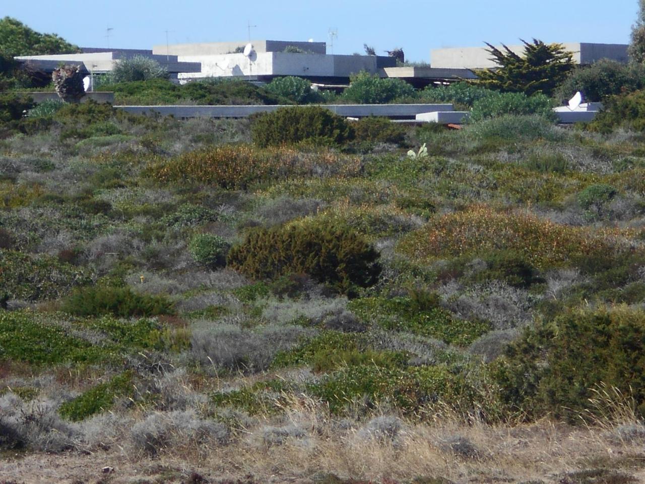 Le Case Punta Negra Stintino Exterior foto
